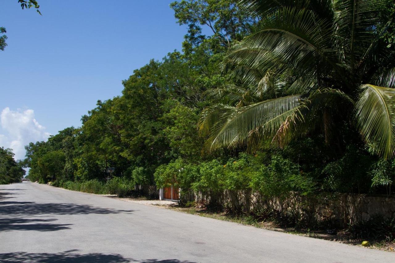 Villa Flor De Mayo Tulum Exterior photo